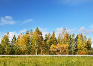 Autumn Landscape