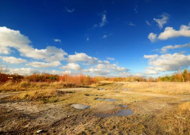 Autumn Landscape Against B