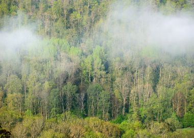 View On Gauja Valley In Sp