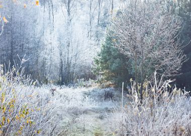 Landscape With The Frozen 