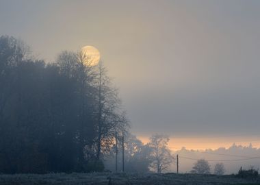 Strong Morning Fog In The