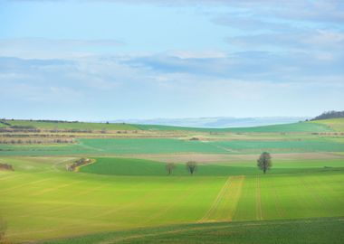 Fields On The Hills Of Pic