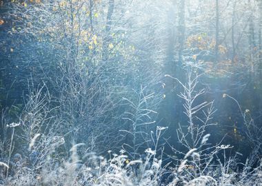 Landscape With The Frozen 