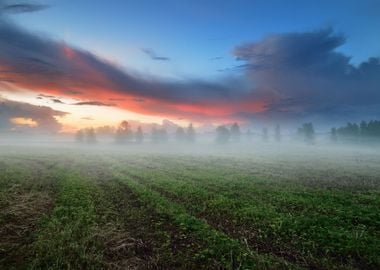 Sunset Over A Mysty Field