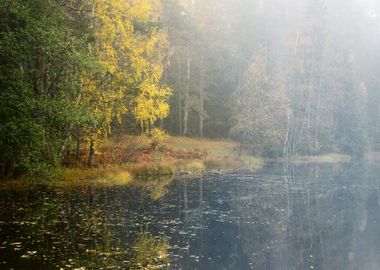 Autumn River Scene In Stro