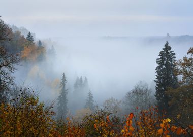 Gauja River Valley In Autu