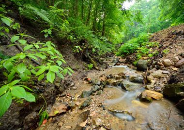 Small River Scene Among Ro