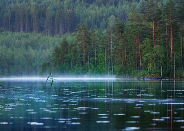 Saimaa Lake In Finland