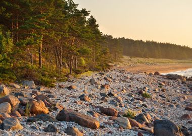 Baltic Sea Shore Hiumaa Is