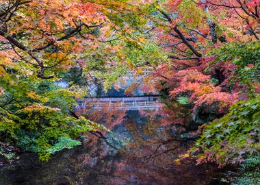 Autumn Landscape Japan Map