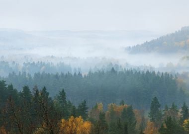 Gauja River Valley In Autu