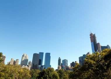 Central Park New York Skyl