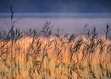 Saimaa Lake In Finland