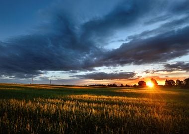 A Sunset Over The Field