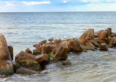 A Breakwater