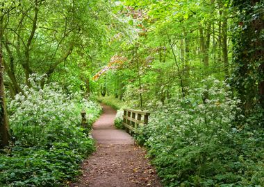 Walkway In Stochemhoeve Fo