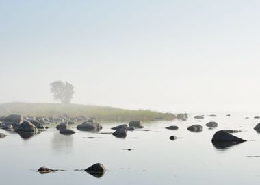 Rocks At The Coast Of Kasm