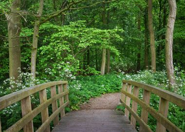 Walkway In Stochemhoeve Fo