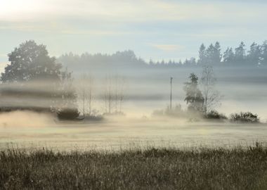 Rural Field Covered With M