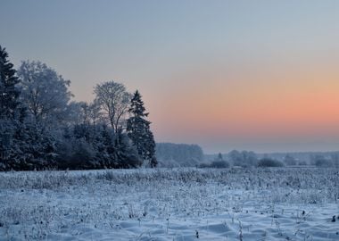 Winter Countryside View