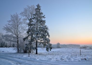 Winter Countryside View