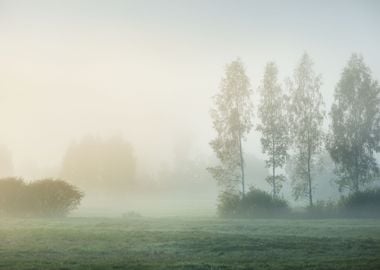 Strong Morning Fog Above T