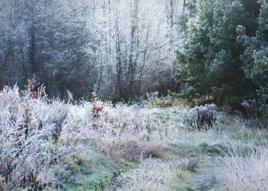 Landscape With The Frozen 