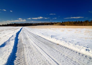 Classic Winter Scene Of A 