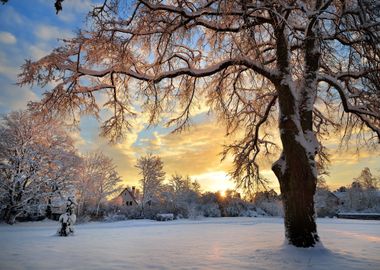 Snow Covered Winter Countr