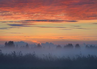 Colorful Sunrise At The Fi