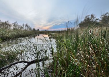 River Landscape