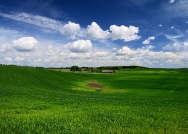 Classic Rural Landscape Gr