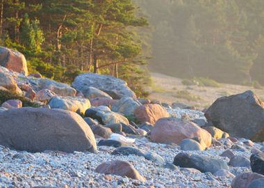 Baltic Sea Shore Hiumaa Is