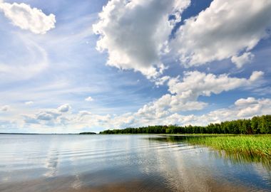 Lake In The Forest With Re