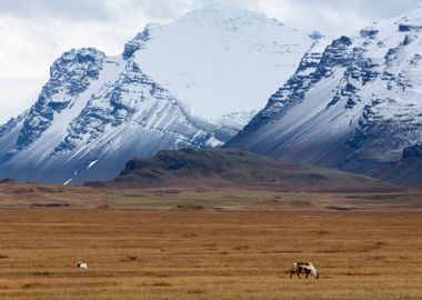 Stunning Backgrounds