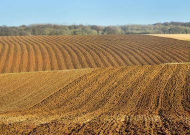 Fields On The Hills Of Pic