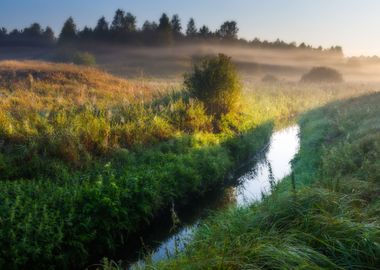 Foggy Morning Meadow Lands