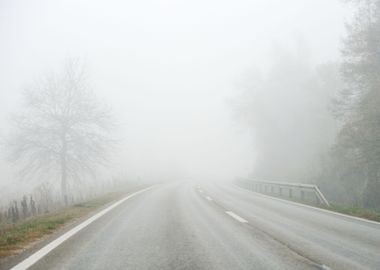 Road In Fog