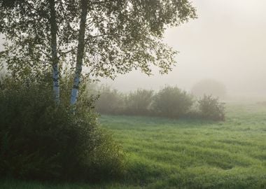 Strong Morning Fog Above T