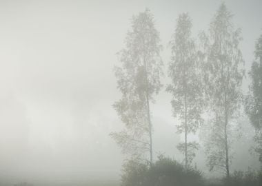 Strong Morning Fog Above T