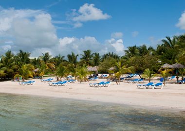 Beach In Antigua