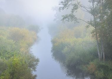 Mornig River And A Forest