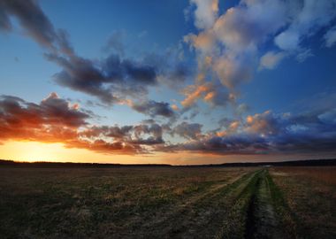 Sunset In Countryside