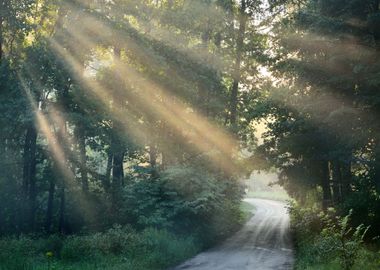 Road And Sunbeams In Stron