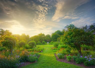 Garden Sunset