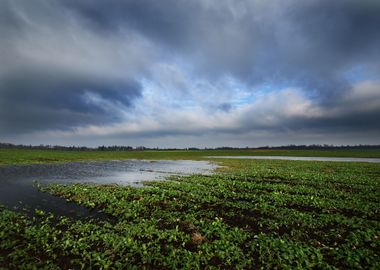 Dark Dramatic Rain Clouds