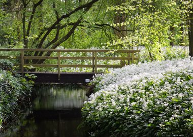 Bridge Over The River And