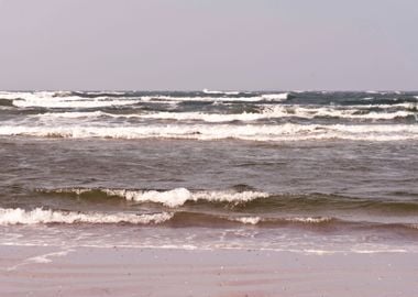 Baltic Sea On Darss In Ger