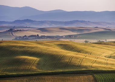 Early Morning On Countrysi