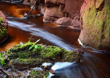 Small River Scene Among Ro